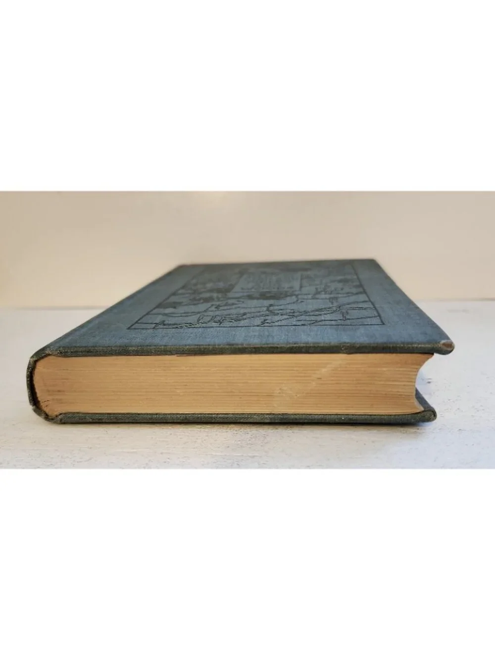 1896 1st Ed. In New England Fields and Woods Rowland Robinson Antique HC